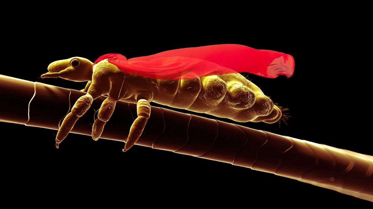 superlouse